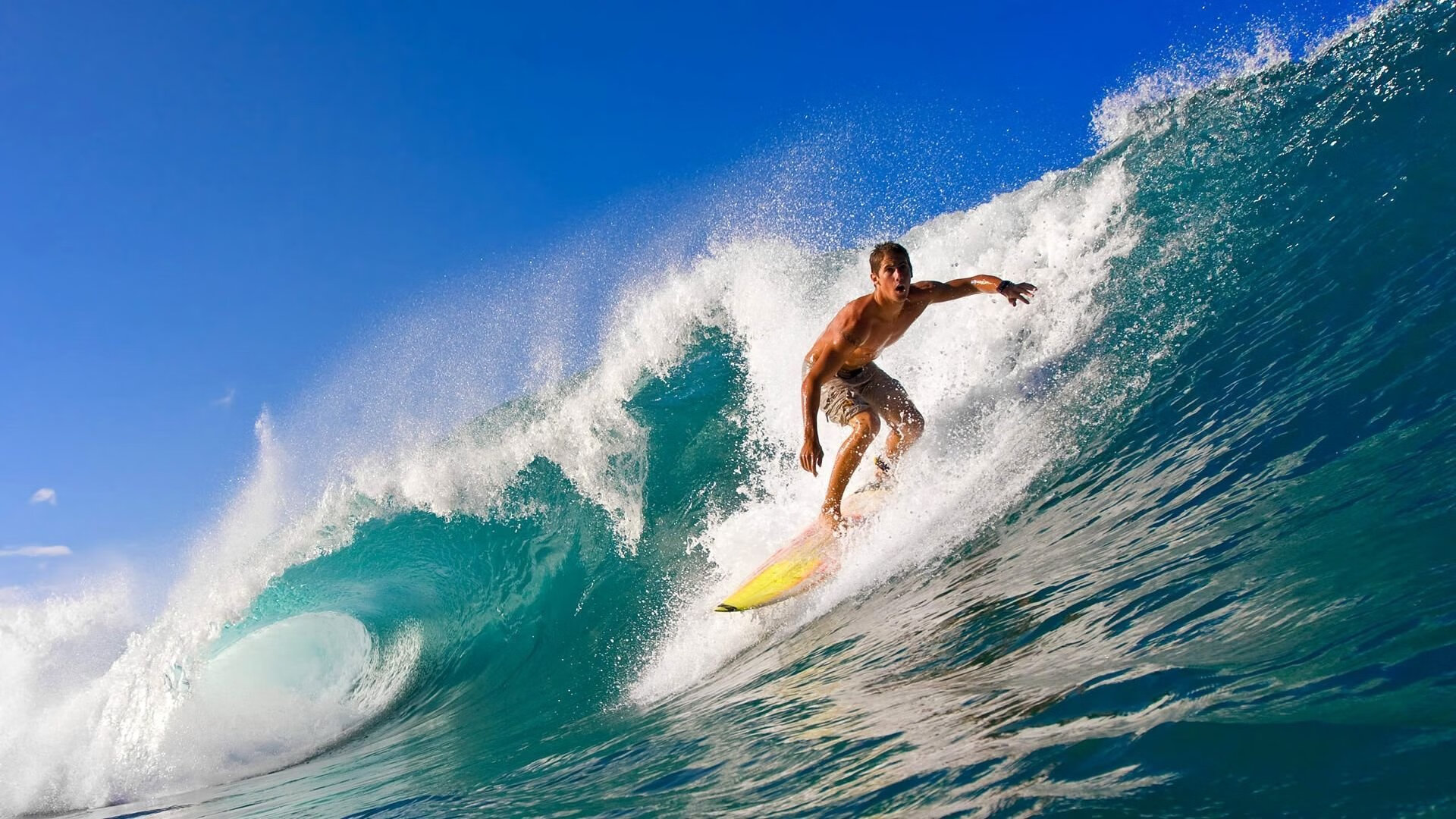 德甲第九轮拜仁慕尼黑三比零击败勒沃库森,新赛季15场全胜!,拜仁慕尼黑联赛