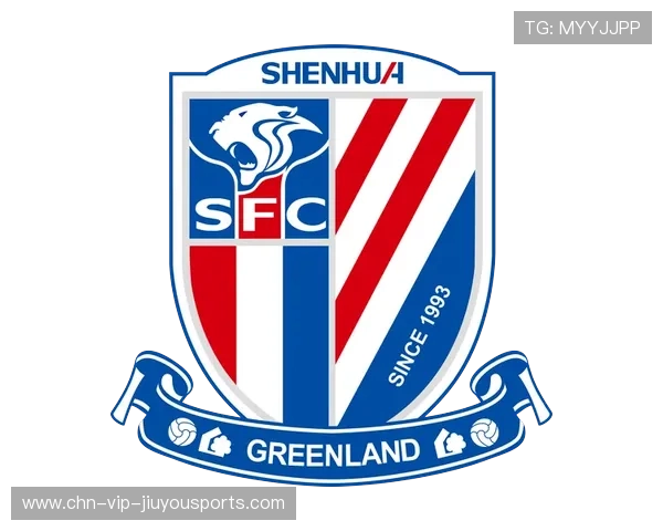 中国足球职业联赛提升球员竞技状态管理水平，中国足球联赛职业化